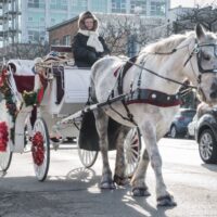white horse pulling woman in white carriage during Royal Oak's Jingle Parade
