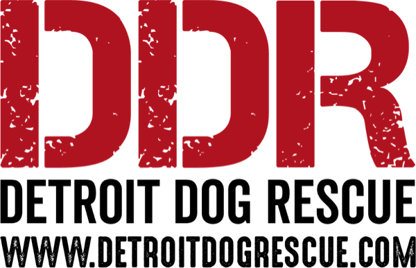 Detroit Dog Rescue logo