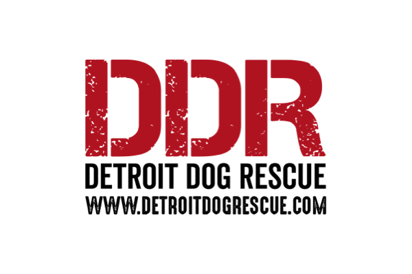 The stylized logo for Detroit Dog Rescue, featuring the letters DDR in distressed red text.